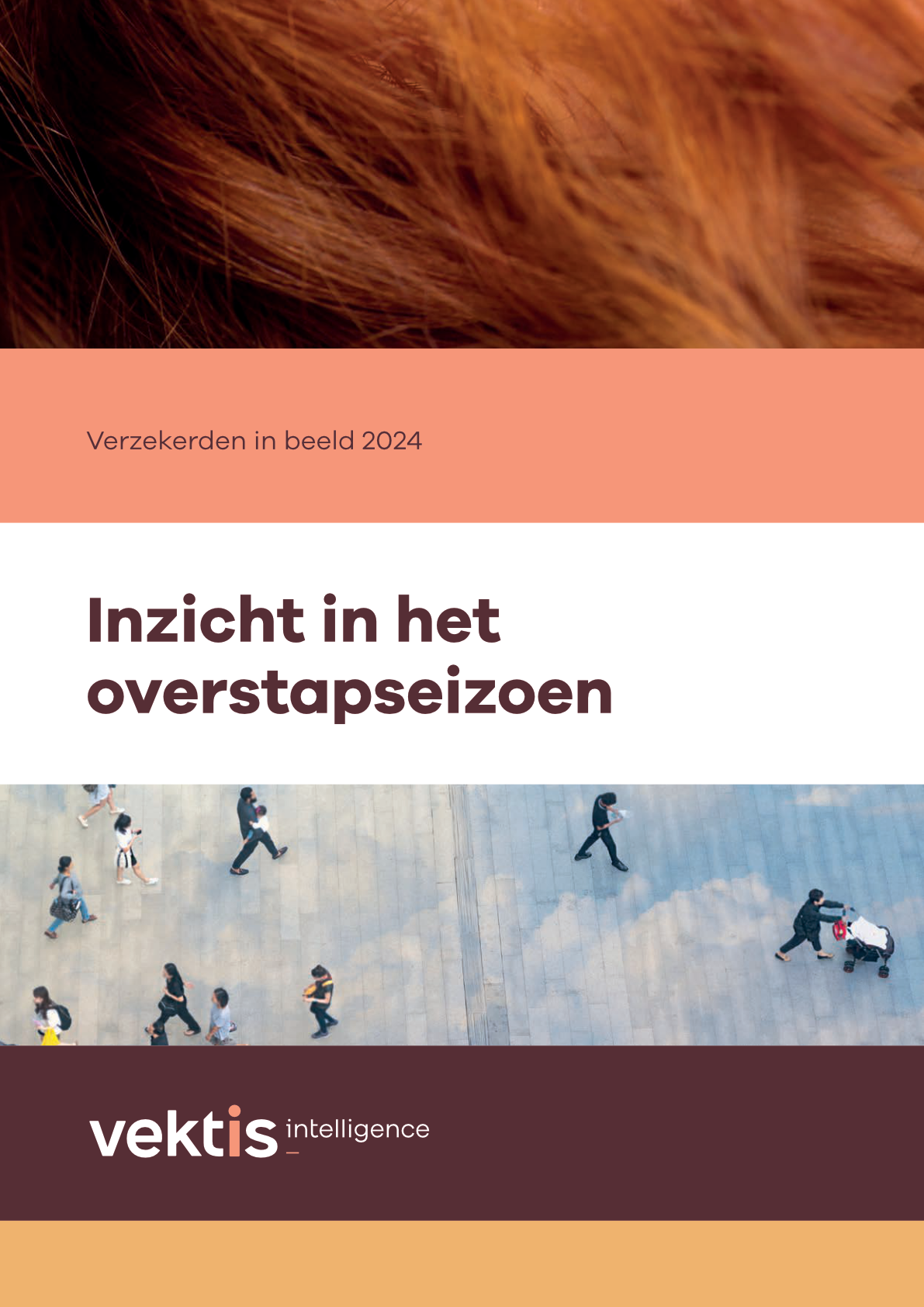 cover Zorgthermometer Verzekerden in Beeld 2024.png